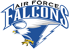 Air Force Falcons Website